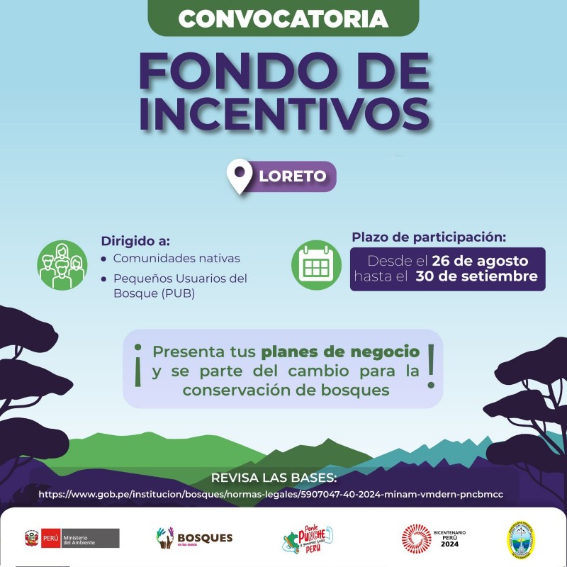 FONDO DE INCENTIVOS