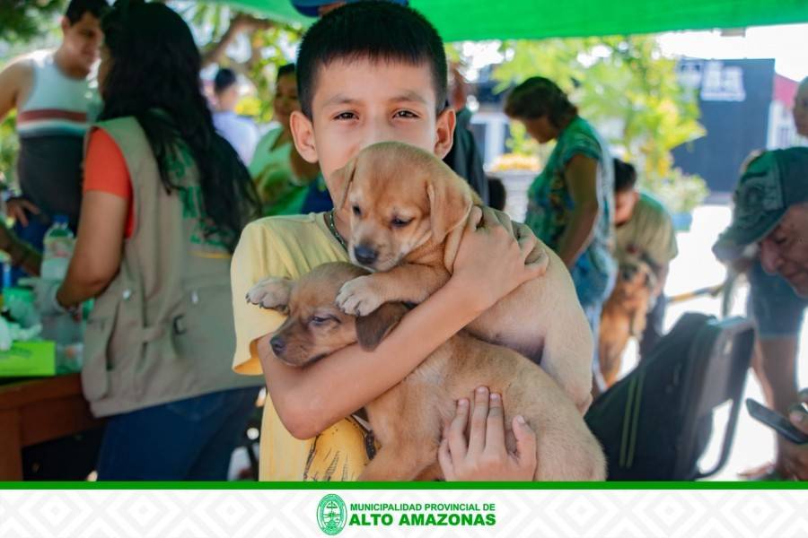 MPAA REALIZA CAMPA&Ntilde;A GRATUITA DE DESPARASITACI&Oacute;N CANINA