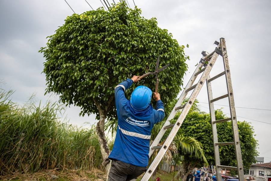 MPAA REALIZA EL MANTENIMIENTO Y LIMPIEZA DE &Aacute;REAS VERDES